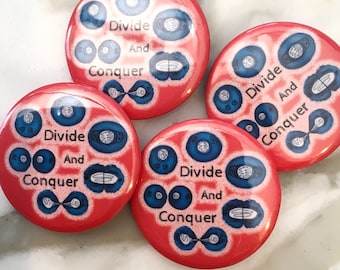 Divide and Conquer Cell Division Pin Back Button