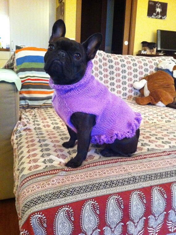 Modele Tricot Pour Chien Bouledogue Francais Modele Tricot Pour Chien Bouledogue Francais