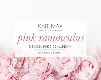 Pink Ranunculus Stock Photo Bundle / Styled Stock Photos / 36 KateMaxStock Flower Branding Images for Your Business