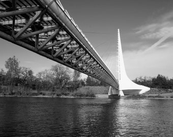 Photograph of the Sundial Bridge at Turtle Bay, Redding, California - Back and White