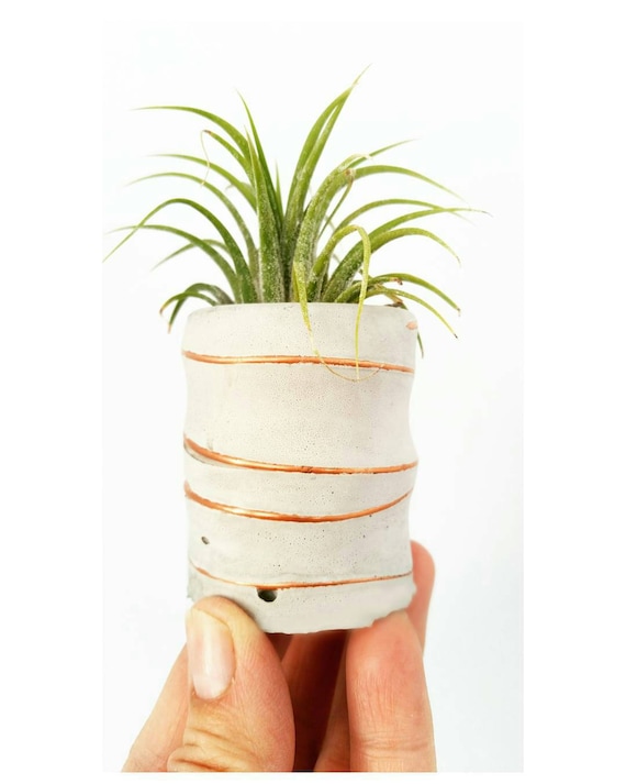 Concrete Air Planter/Modern Planter/Small Air Planter/Office Planter/Succulent Planter/ Indoor Planter/Desk planter/Dorm decor/Minimalist