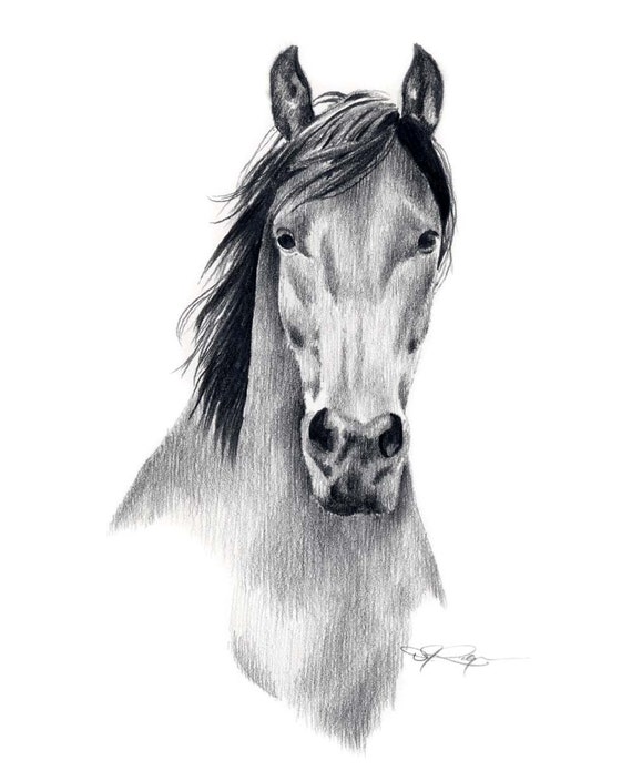 MUSTANG HORSE Pencil Drawing Art Print Signed by Artist DJ