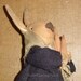 Nonna Carote, A Primitive Folk Art Bunny Rabbit Pattern