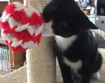 Cat Toy Ball- Benefits Guide Dogs for the Blind