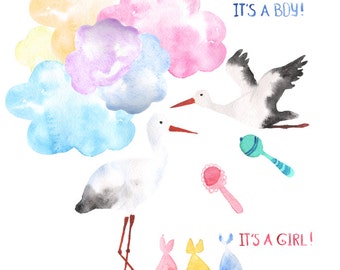 Watercolor Baby Delivery Storks Digital