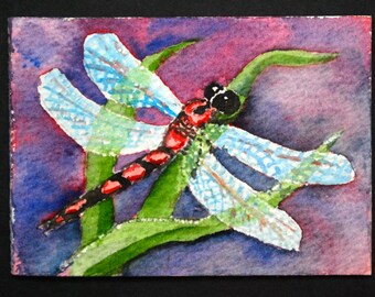 Dragonfly Watercolor ACEO Print