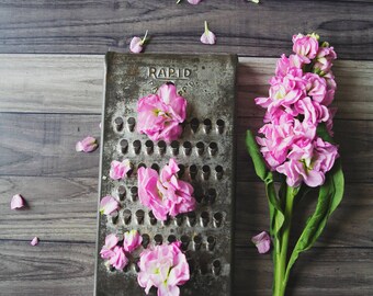 Vintage Grater ~ 8x10 photo print