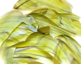 Amphibian Lampwork Shards 104coe - .5oz
