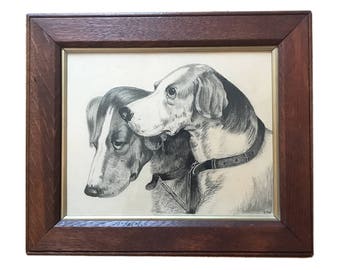 Victorian Drawing In Pencil/Charcoal Of Two Hound Heads In An Oak Frame Under Glass
