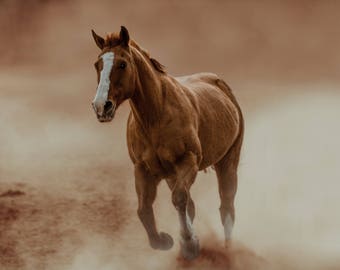 Running Horse