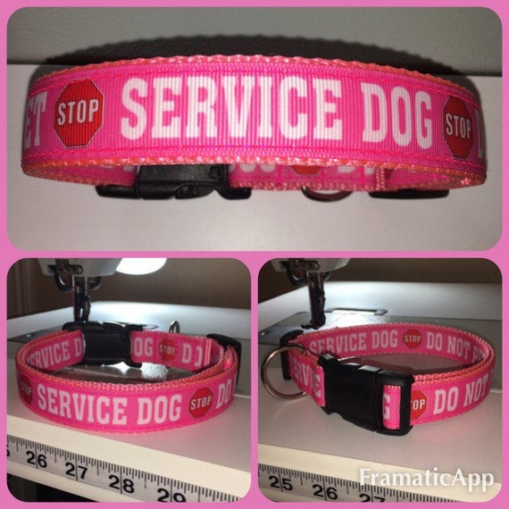 Service Dog Do Not Pet Collar CustomMade To Order In Your