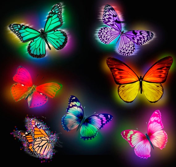 Clipart glowing butterflies PNG picture glowing butterflies