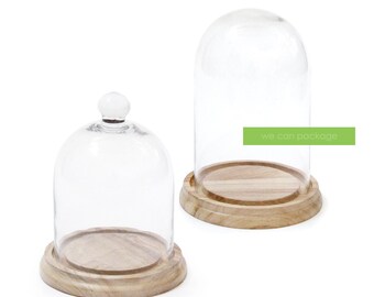 Glass Display Cloche Bell Jar with Wooden Base - We Can Package
