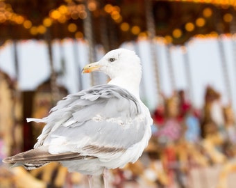 Seaside Print - Seagull by the Carousel Fine Art Photograph - Brighton, England - Retro Home Decor