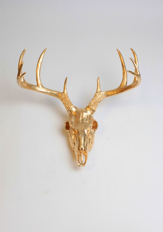Faux Taxidermy Wall Decor Faux Taxidermy Wall Decor