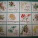Blue Border C1890 FLOWERS Victorian Sunday School Award Cards - Postage stamp size - perfect for scrap booking!