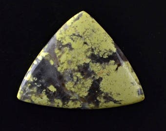 Lizard Stone 17.48cts Trillion Cabochon 30.20 X 23.70mm T1342 Cab Cabochon Yellow Loose Gem Gemstone Jewelry Making Rare