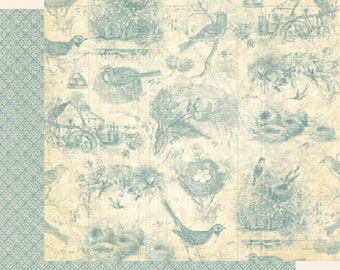 Graphic 45, Botanical Tea, Birds of a Feather, 12 x 12 Paper Single Sheet, Retired, Floral