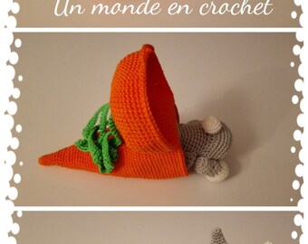 Little rabbit in his carrot (PDF in french)