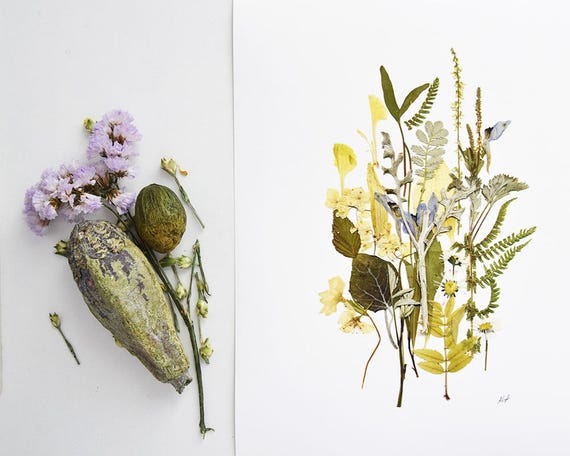 botanical print pressed flowers print herbarium dried flowers