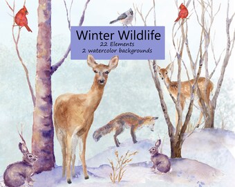 Winter Wildlife Watercolor Clip Art, Pine trees, Snow, Deer, Fox, Cardinal, Finch, Watercolor Backgrounds, Christmas Card Clipart Set