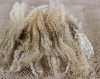 Border Leicester Wool Fleece Raw Locks