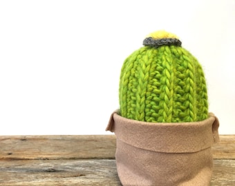 Crochet barrel cactus in felt pouch.