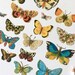 Die Cut Butterflies. German Die Cut Scraps. EF Germany. Scrapbooking Supplies. Glanzbilder. Oblaten. Poesiebilder.