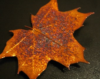 Real Maple Leaf Iridescent copper brooch