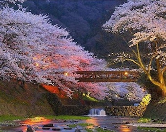 Bridge over troubled water