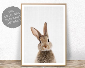 Nursery Bunny Print, Printable Animal, Rabbit Wall Art Poster, Woodland Decor, Baby Shower, Digital Download, Modern Baby Room Bunny Rabbit