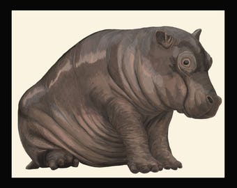 Baby hippo - Archive quality giclee print from pencil drawing - Limited edition of 25, signed by artist