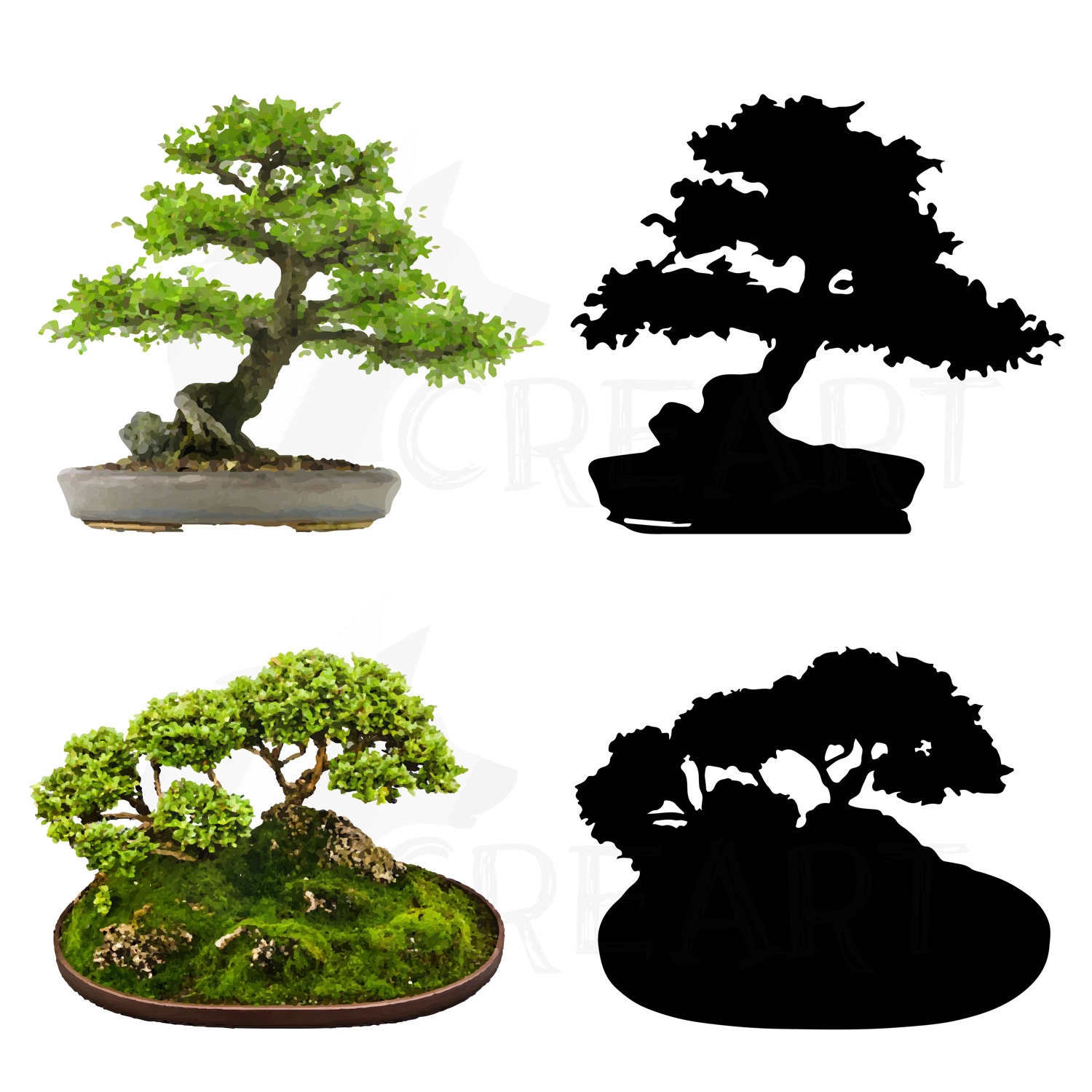 Bonsai tree watercolor and Silhouette pack. Eps png jpg