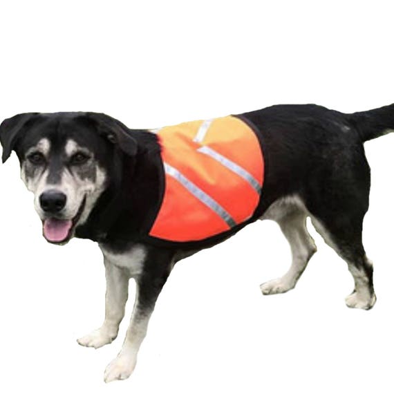 Dog Safety Vest Custom Dog Vest Reflective Dog Vest Made Of   Il 570xN.1470459763 6y7i 