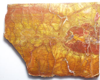 Nice, Large SPIDERWEB jasper slab for cabbing/lapidary