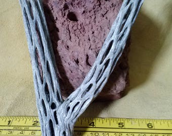 Parrot Perch Pet Bird Cage Cholla Wood Branched Single Bolt (BP6)