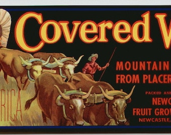 1950s Covered Wagon Oxen Scout Western Placer County California Original Crate Label