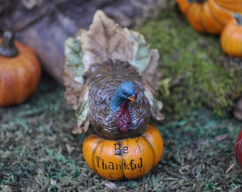 Be Thankful Turkey on Pumpkin