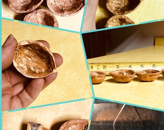 Premium Large Walnut Shell Halves for ornaments and decorative crafts