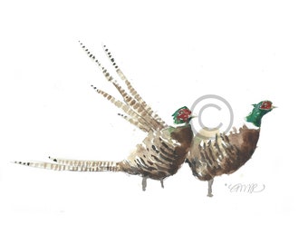 PHEASANT REPRODUCTION PRINT