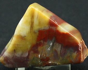 Petrified Wood, Arizona - Mineral Specimen for Sale