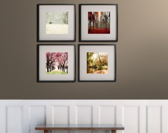 SALE, 4 Seasons Tree Print, Nature Photography, Four Seasons Art Prints, Nature Gift, 4 Seasons Wall Art