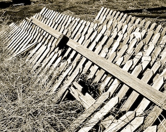 Black and White Photography, rustic picket fence graveyard, picket fence, pickets, wood fence, distressed wood, weathered, Rustic Wall Art