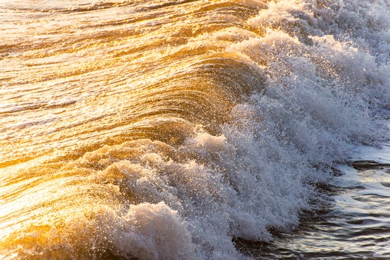 LIQUID GOLD. Breaking Wave, Coastal Art, Seascape Print, Ocean Print, Wave Print.