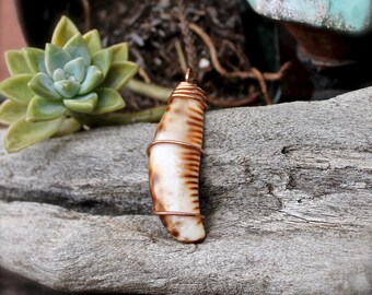 Hawaii Shell Necklace - Seashell Jewelry from Hawaii - Hawaiian Jewelry - Cowrie Shell Jewelry made in Hawaii - Hawaiian Seashell Necklace
