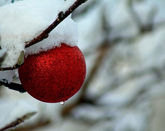 Christmas Ornament on a Snowy Day