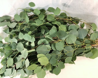 Fresh Eucalyptus, silver Dollar bouquet, Bulk Greenery, wedding bouquet, eucalyptus wedding, fresh silver dollar, wedding garlands, wreath