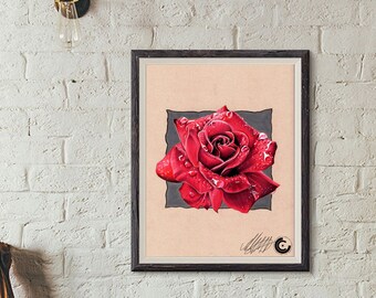 Red Rose Limited Edition Print