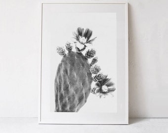 Cactus Flower PRINTABLE Photography Print, Cactus Wall Art, Cactus Photo INSTANT DOWNLOAD Printable Art Print, Succulent Art digital artwork