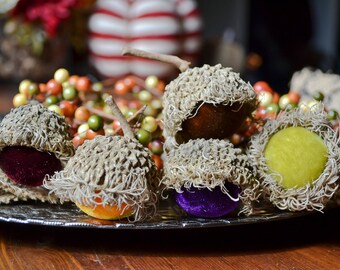 Silk Velvet Acorns in Various Colors, Real Acorn Caps, Set of 5 Large, Thanksgiving, Fall Decor, Table Centerpiece, Real Acorn Caps